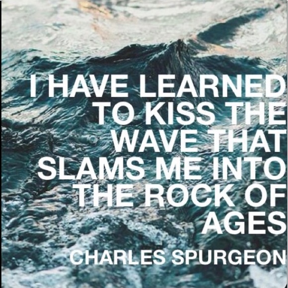 Meet your Posher, Savannah - Picture 12 of 14